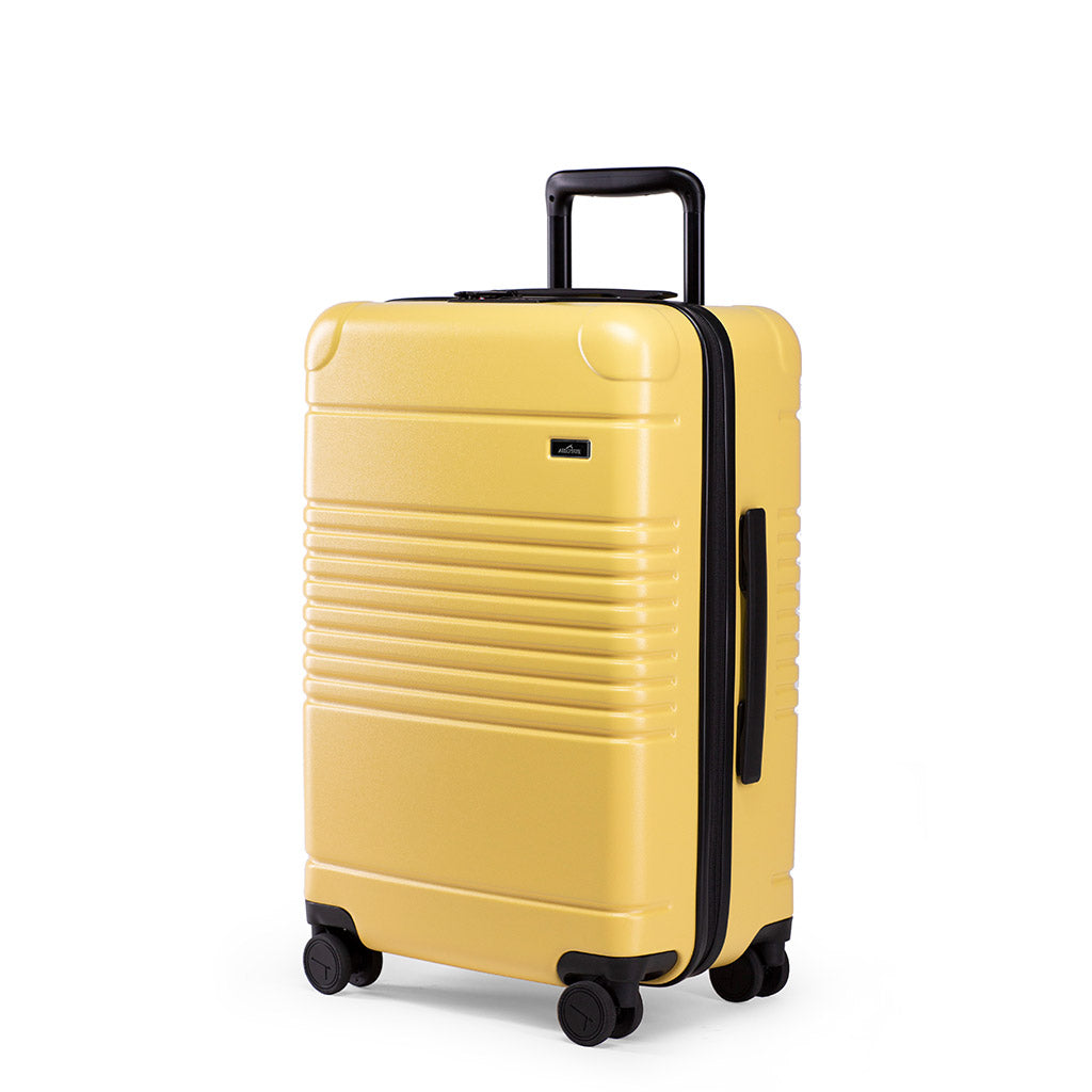Arlo Skye X Dusen Dusen: Original Luggage